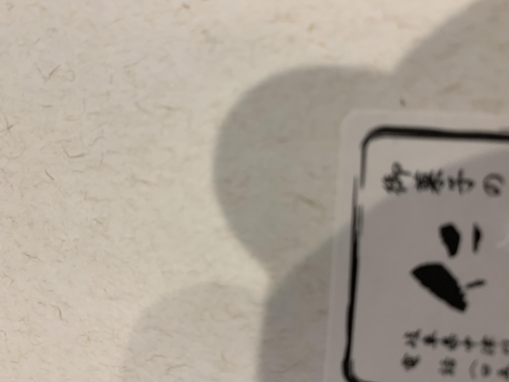 仁太郎  加子母本店のレポート写真3（ポニョ）