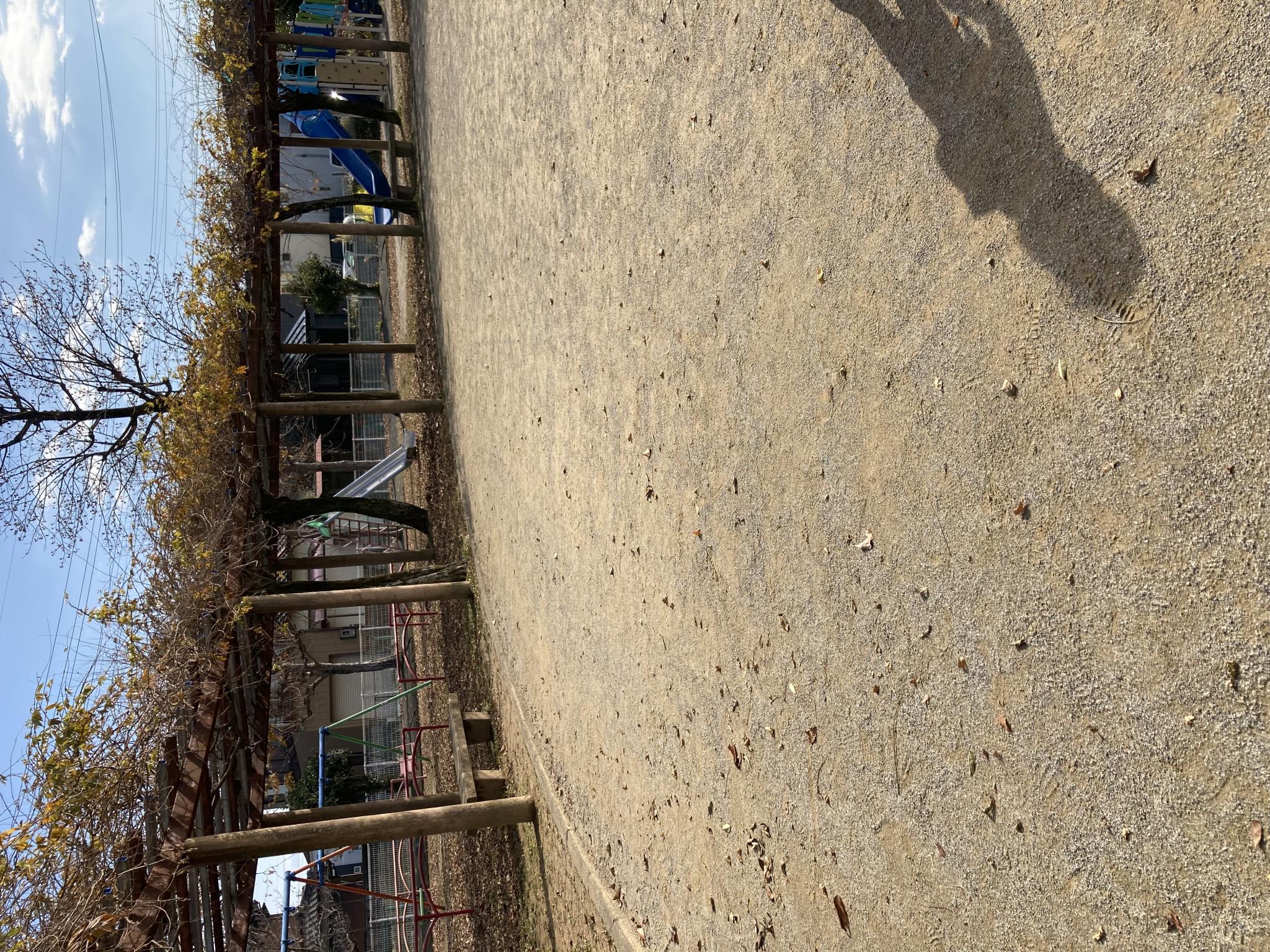 蒲池公園のレポート写真1（まなみ）