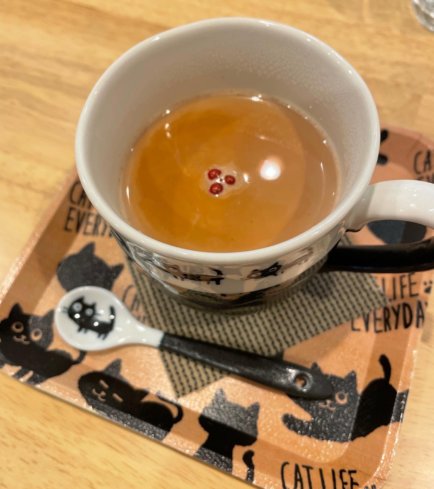 くつろぎ猫カフェ noraraのレポート写真1（岐阜の食いしん坊担当）