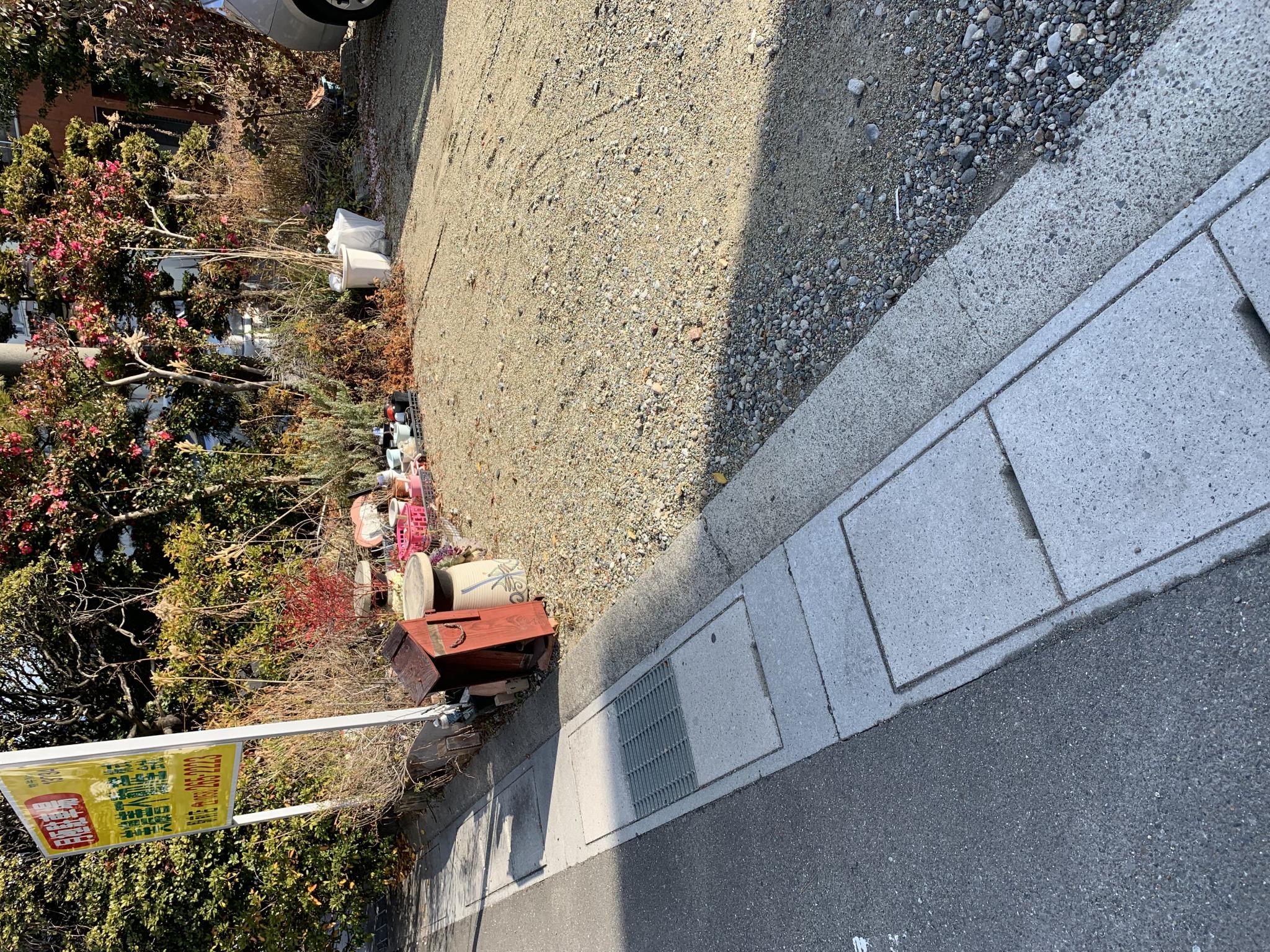 emergoのレポート写真5（ポニョ）