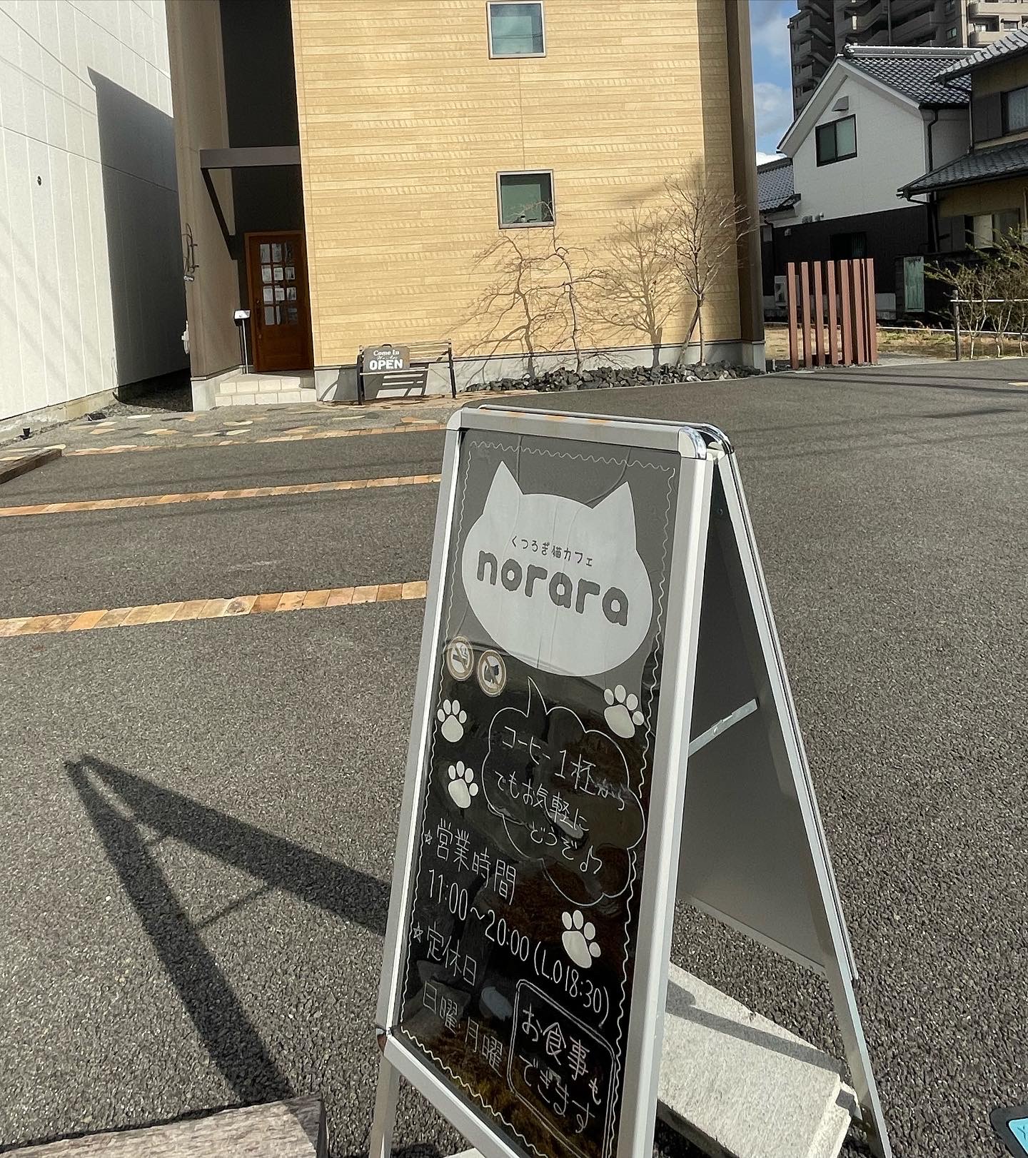 くつろぎ猫カフェ noraraのレポート写真5（岐阜の食いしん坊担当）