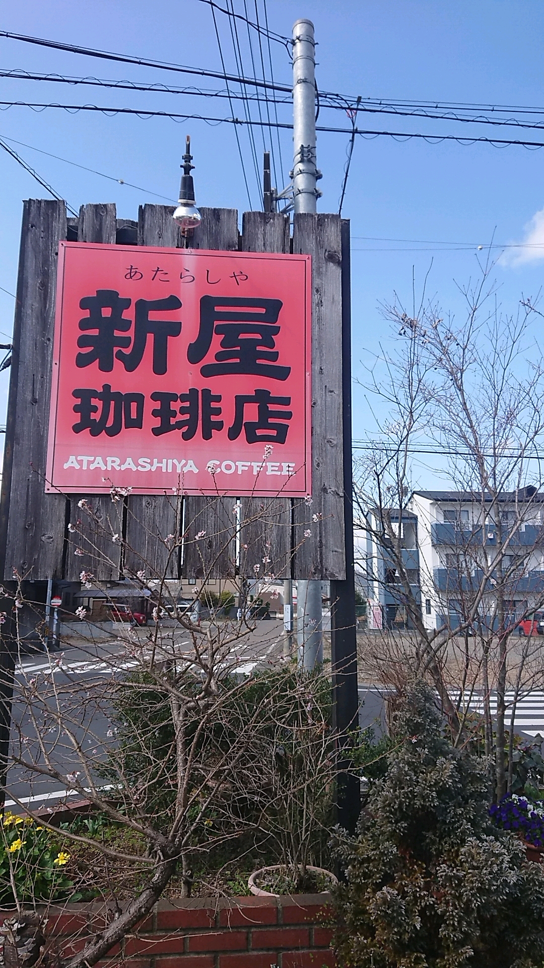 新屋珈琲店のレポート写真3（ヨゼ）