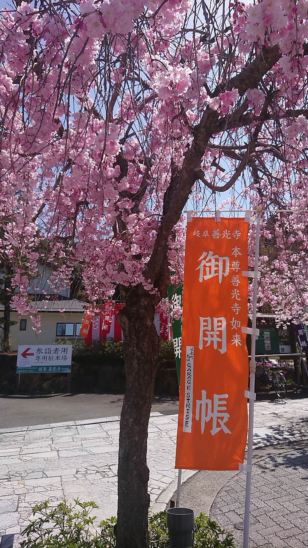 岐阜善光寺のレポート写真1（ヨゼ）