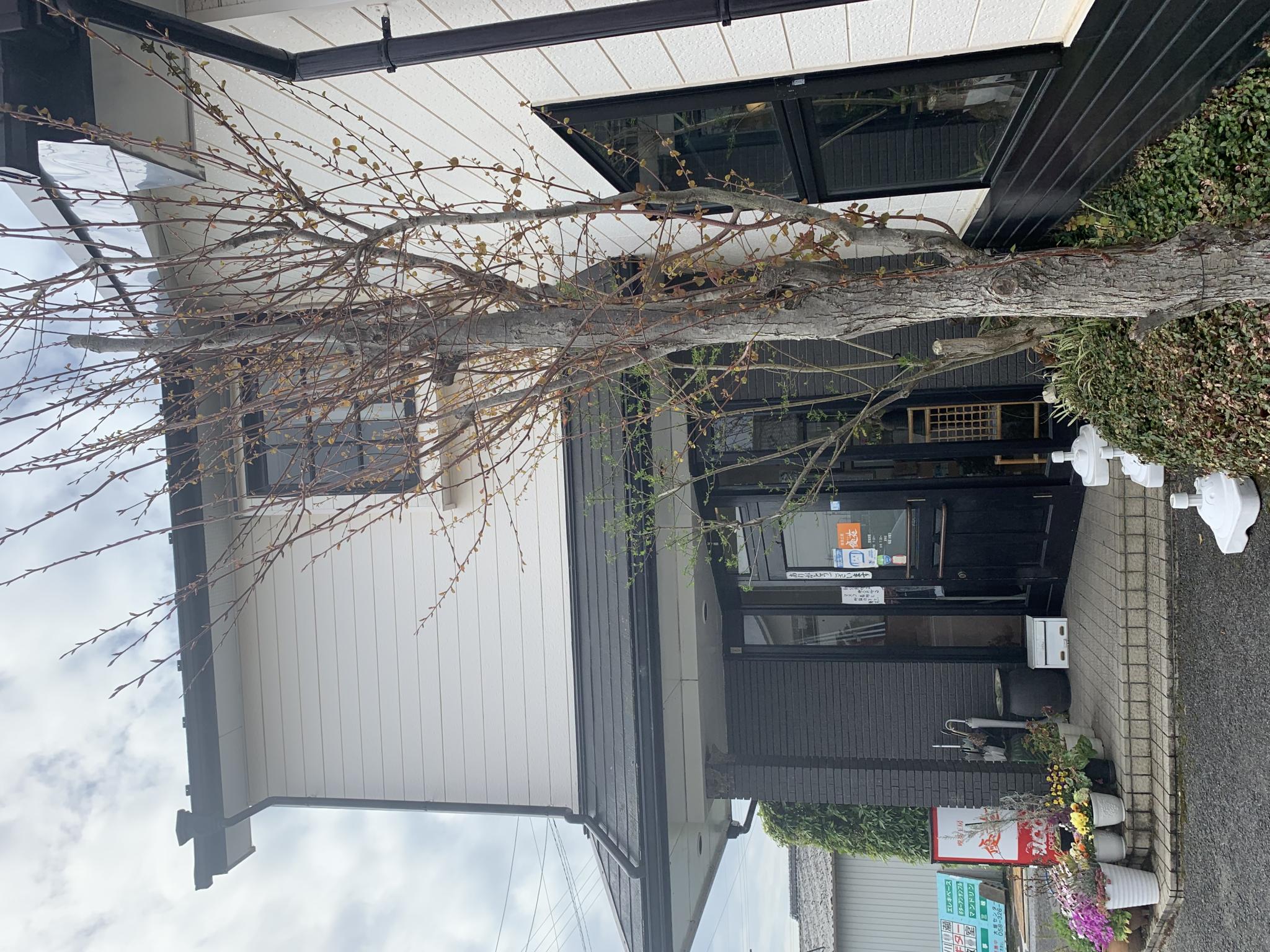 喫茶工房 優花のレポート写真5（ポニョ）
