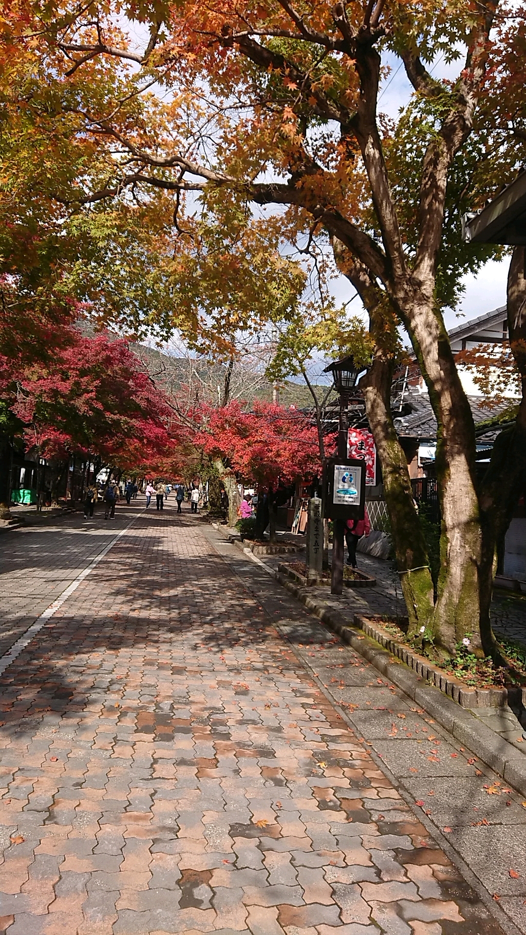 谷汲山 華厳寺のレポート写真3（ヨゼ）