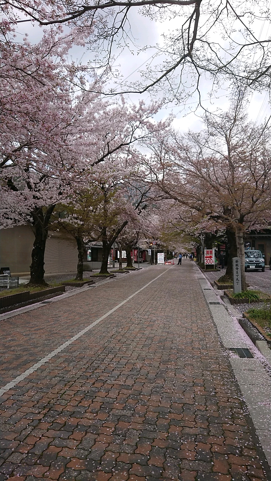 谷汲山 華厳寺のレポート写真4（ヨゼ）