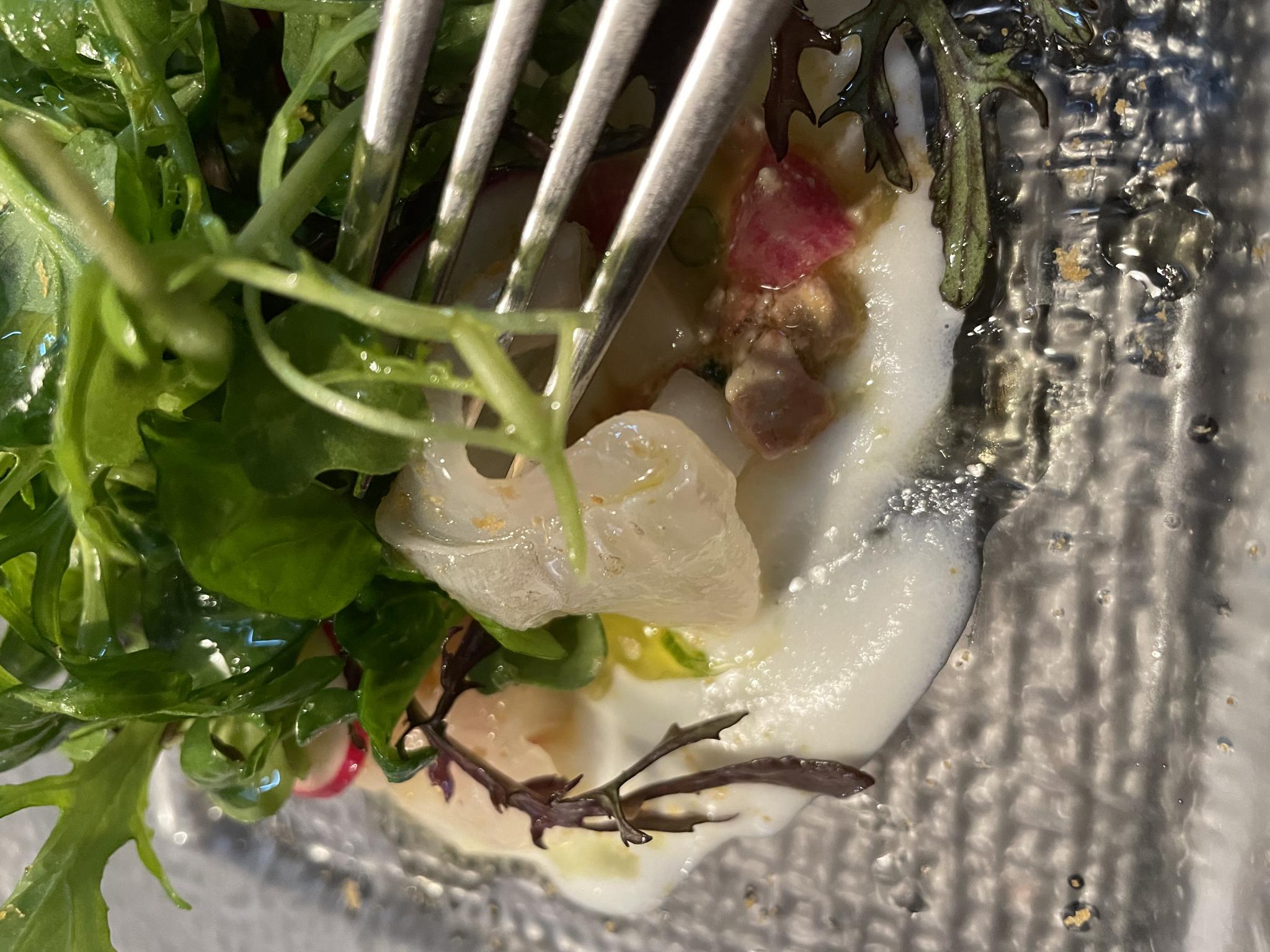 RESTAURANT TAKEUCHIのレポート写真3（岐阜の食いしん坊担当）
