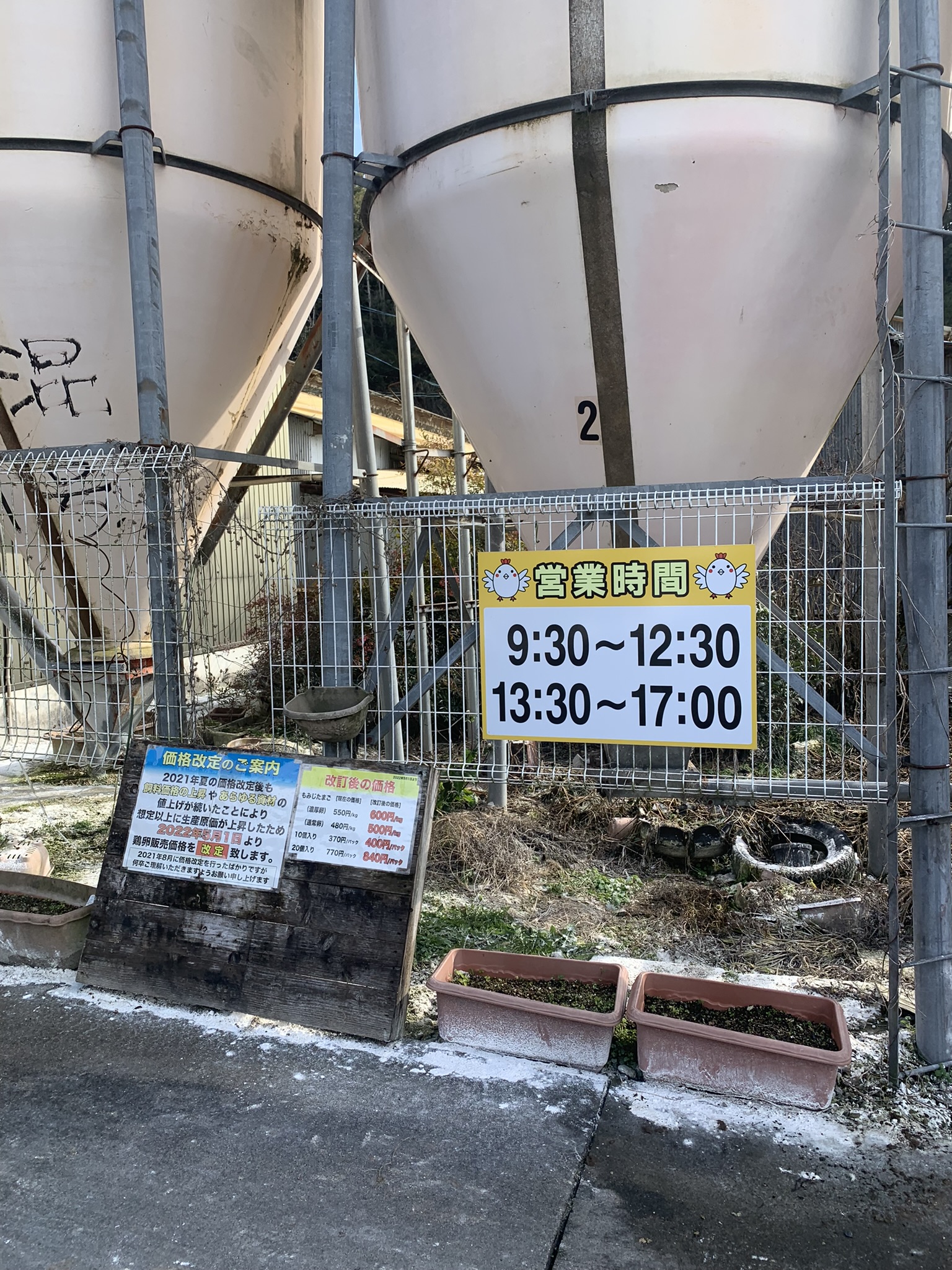 株式会社山田養鶏のレポート写真4（ポニョ）