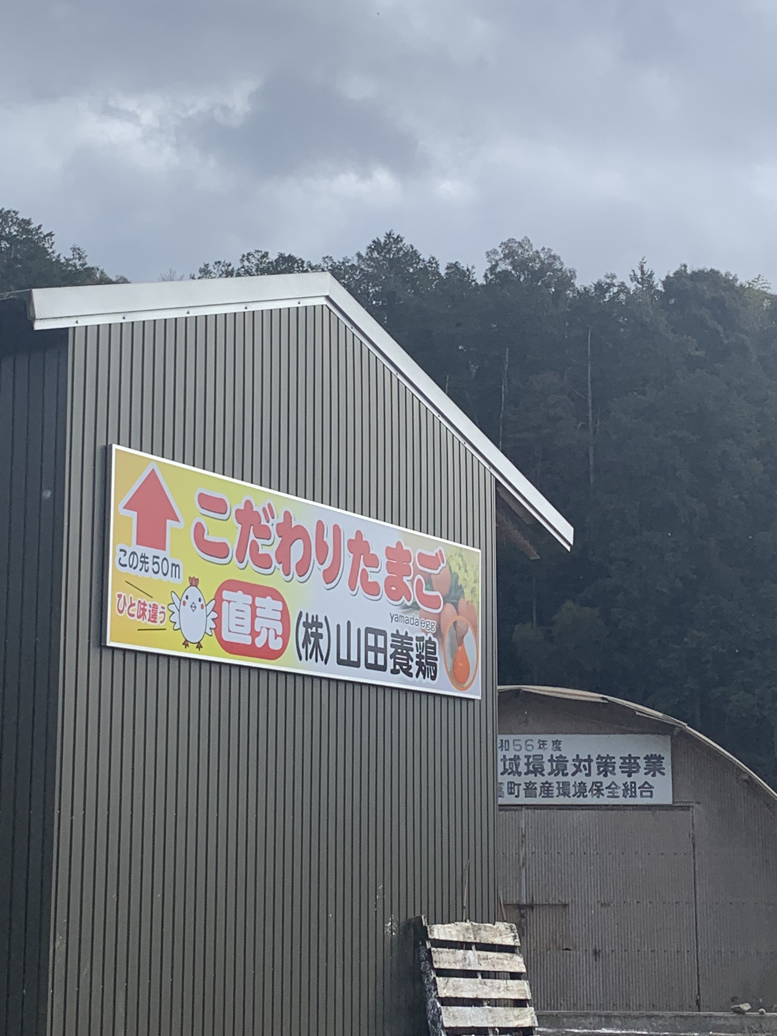 株式会社山田養鶏のレポート写真5（ポニョ）