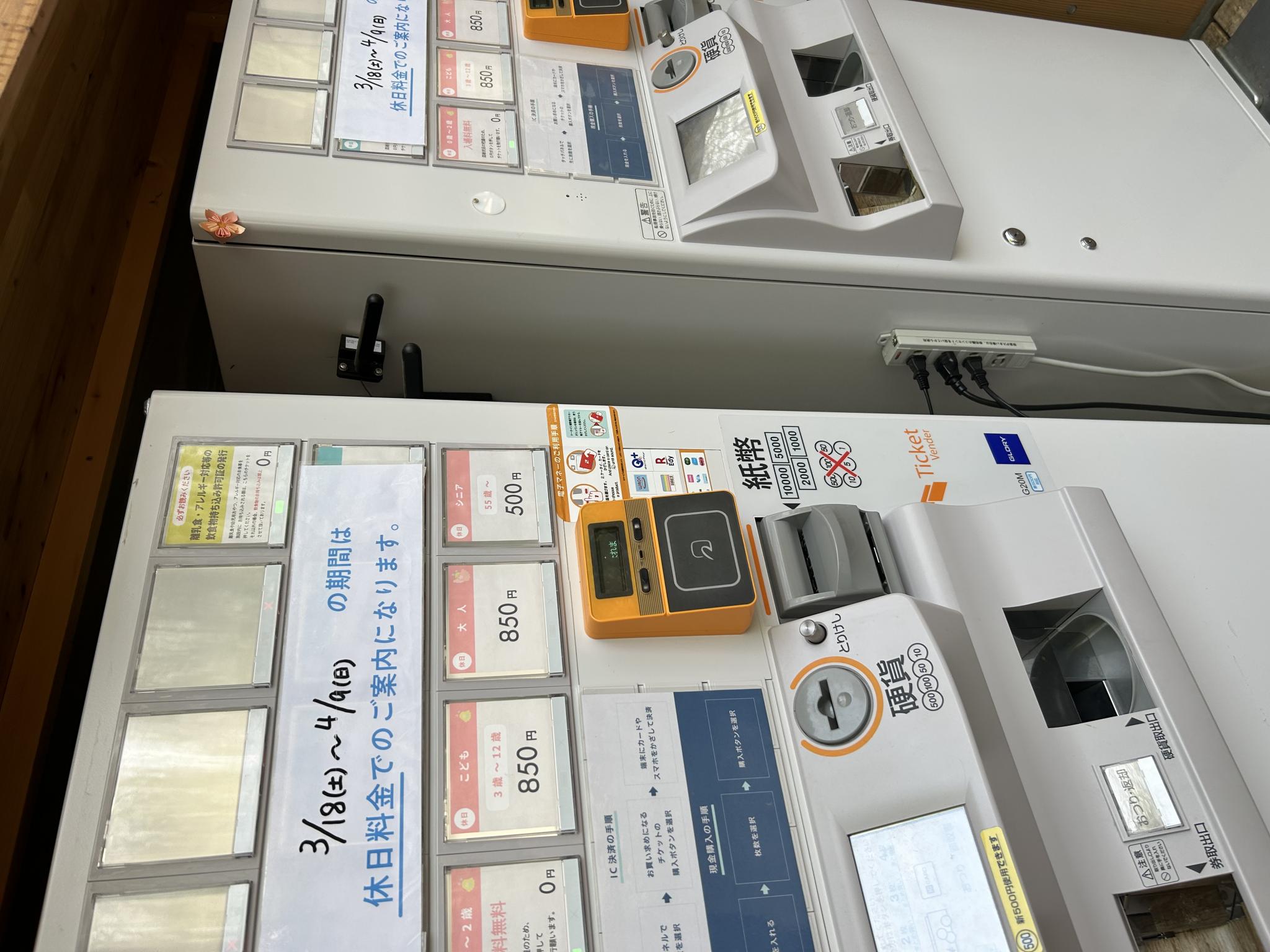ajara KPB店のレポート写真5（ポニョ）
