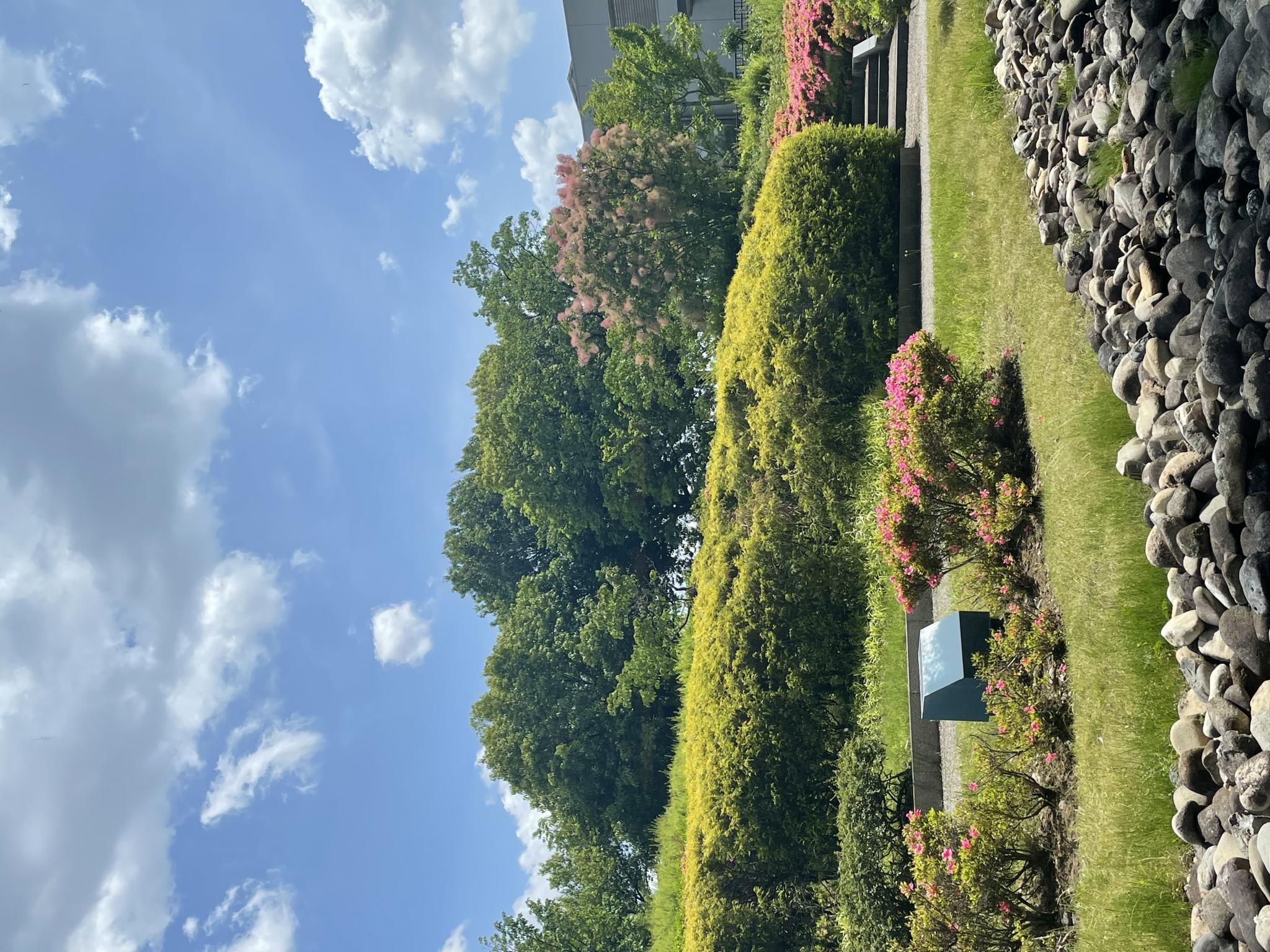 Lounge FLORAのレポート写真3（岐阜の食いしん坊担当）