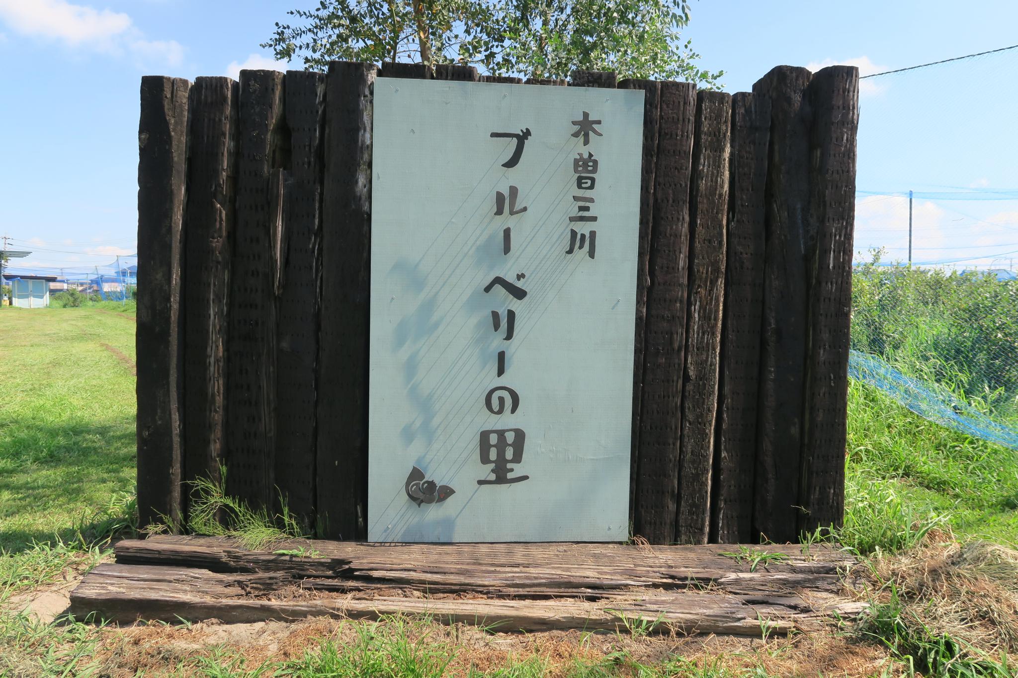 木曽三川 ブルーベリーの里のレポート写真1（みずほのトヤマ）