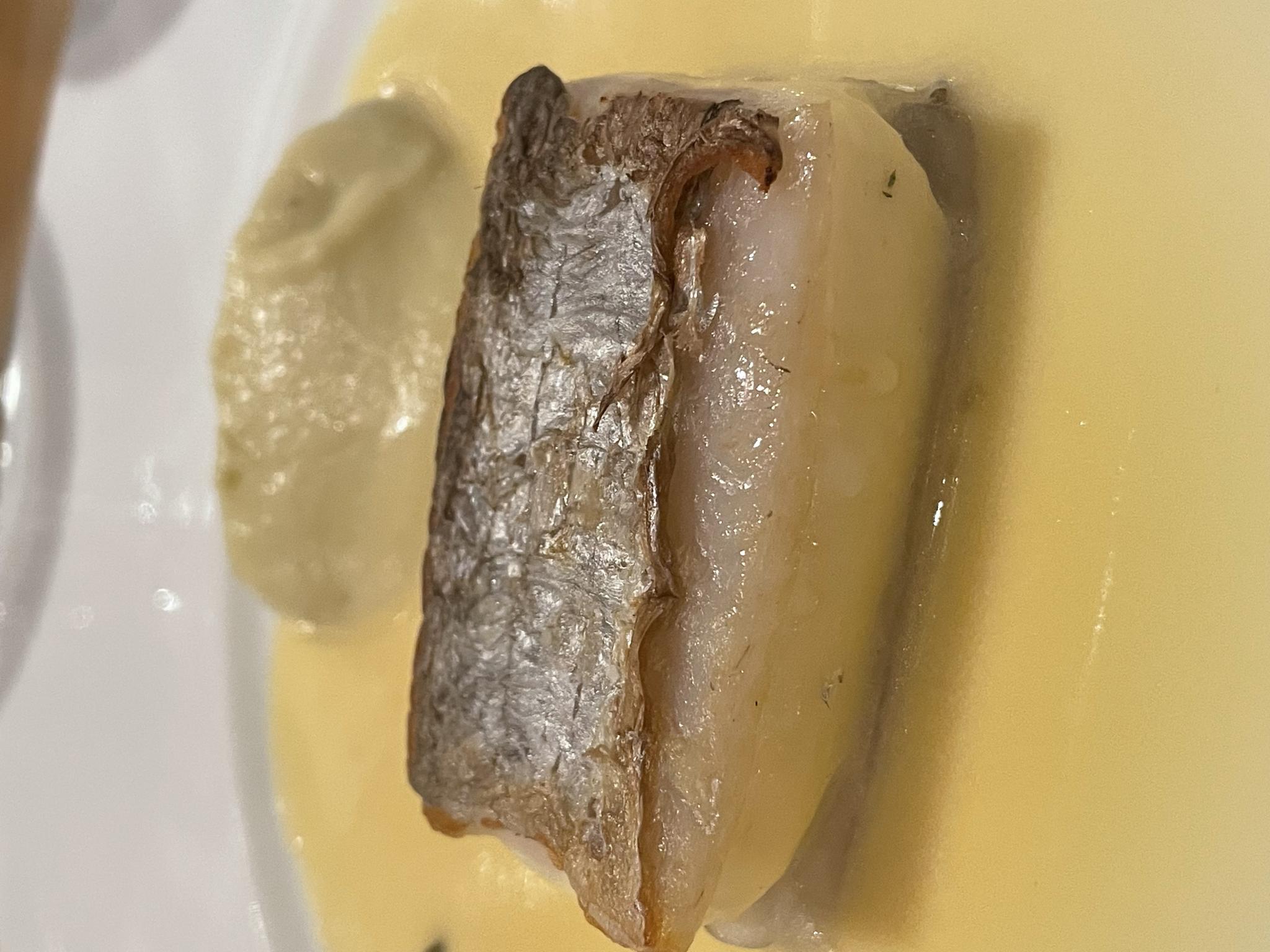 BISTRONOMIE TKMのレポート写真2（岐阜の食いしん坊担当）