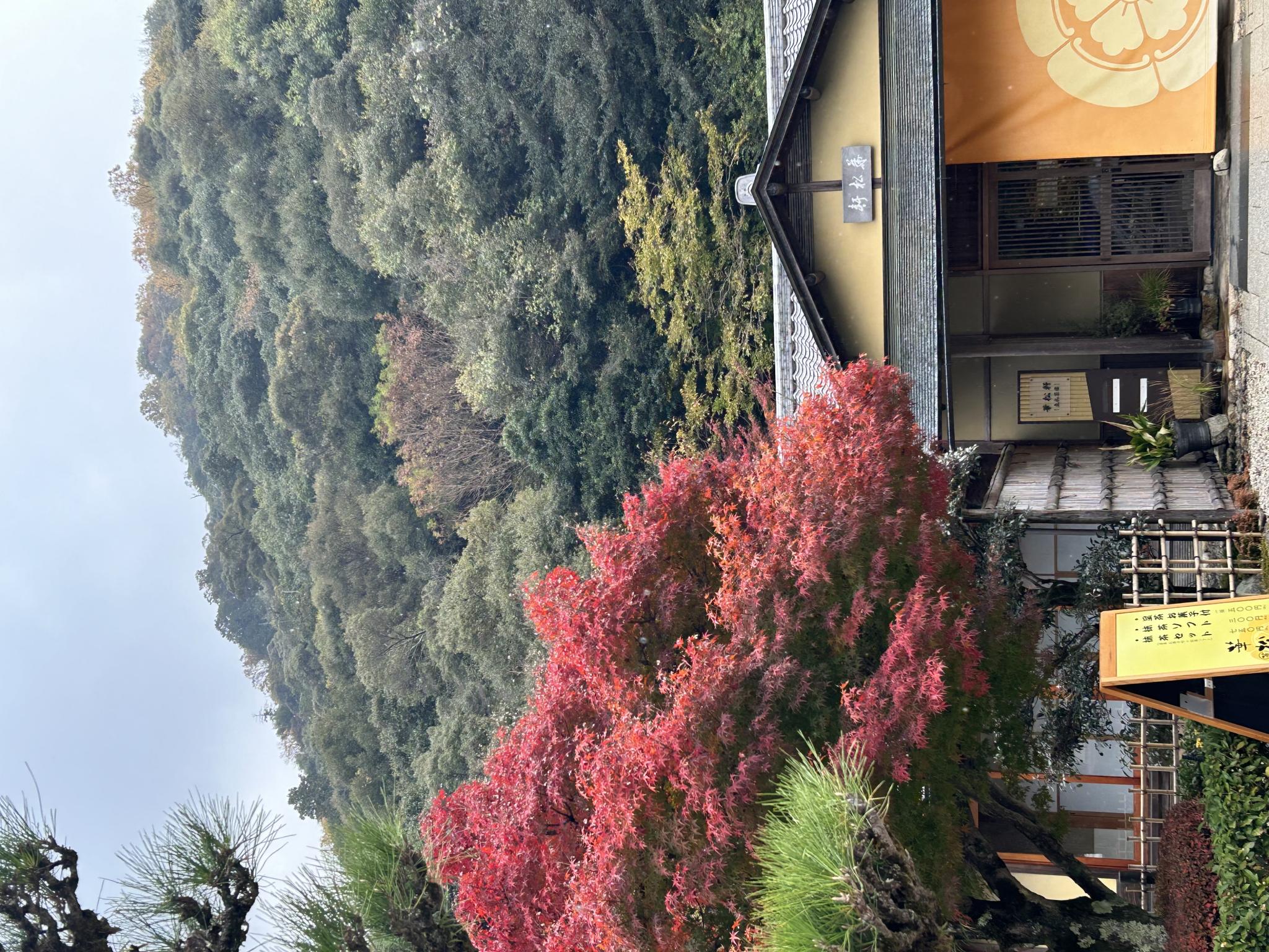 華松軒のレポート写真3（ポニョ）