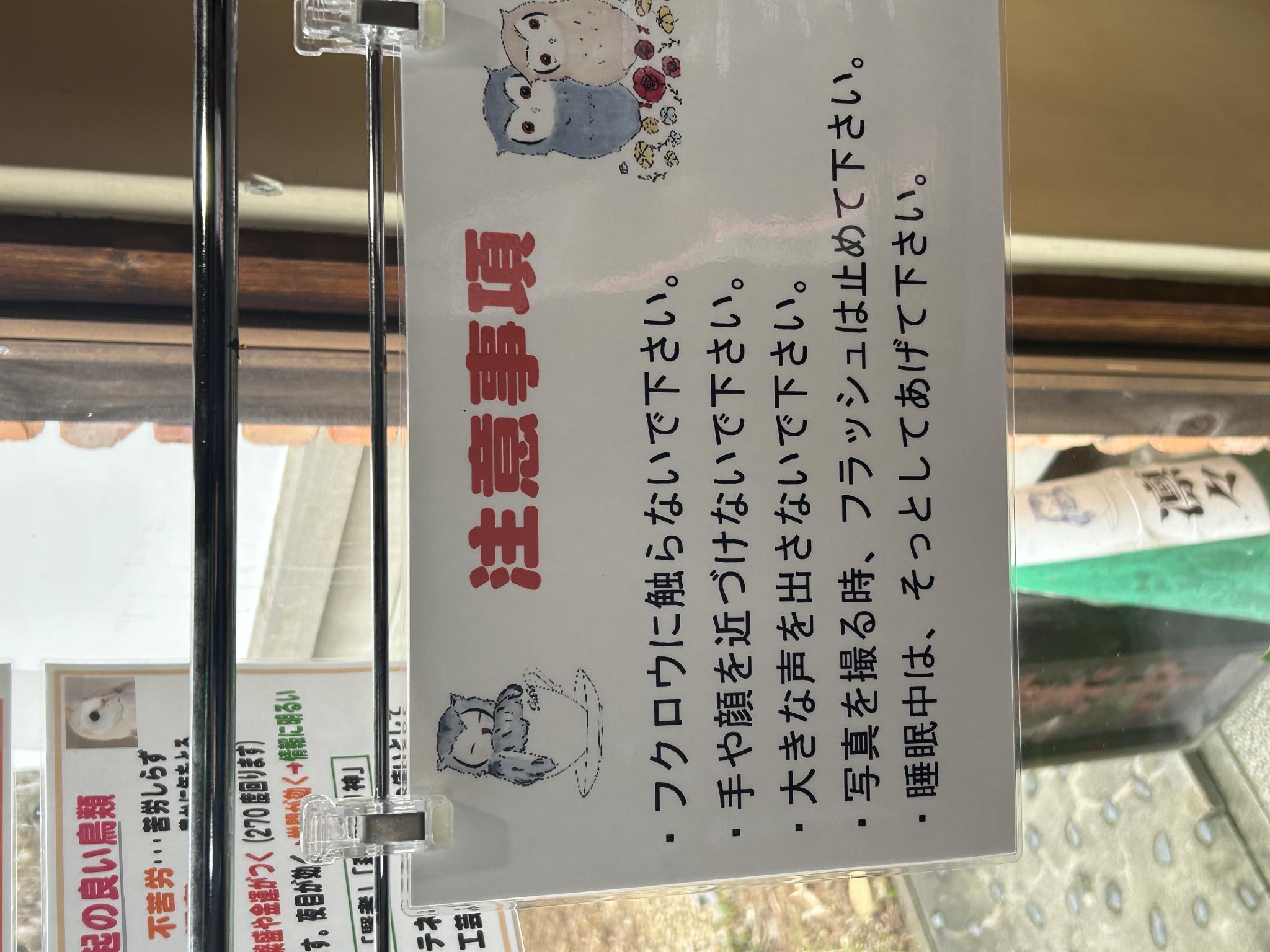 ふくろうの宴 凛々のレポート写真4（ポニョ）