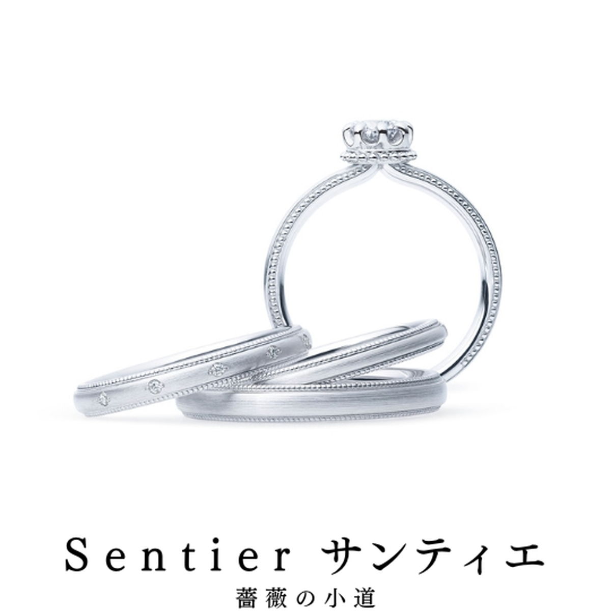 お1つでも2つでもご自由に｜リング名／サンティエ（薔薇の小道）
リングの物語／季節たどり 手を取り歩む
...