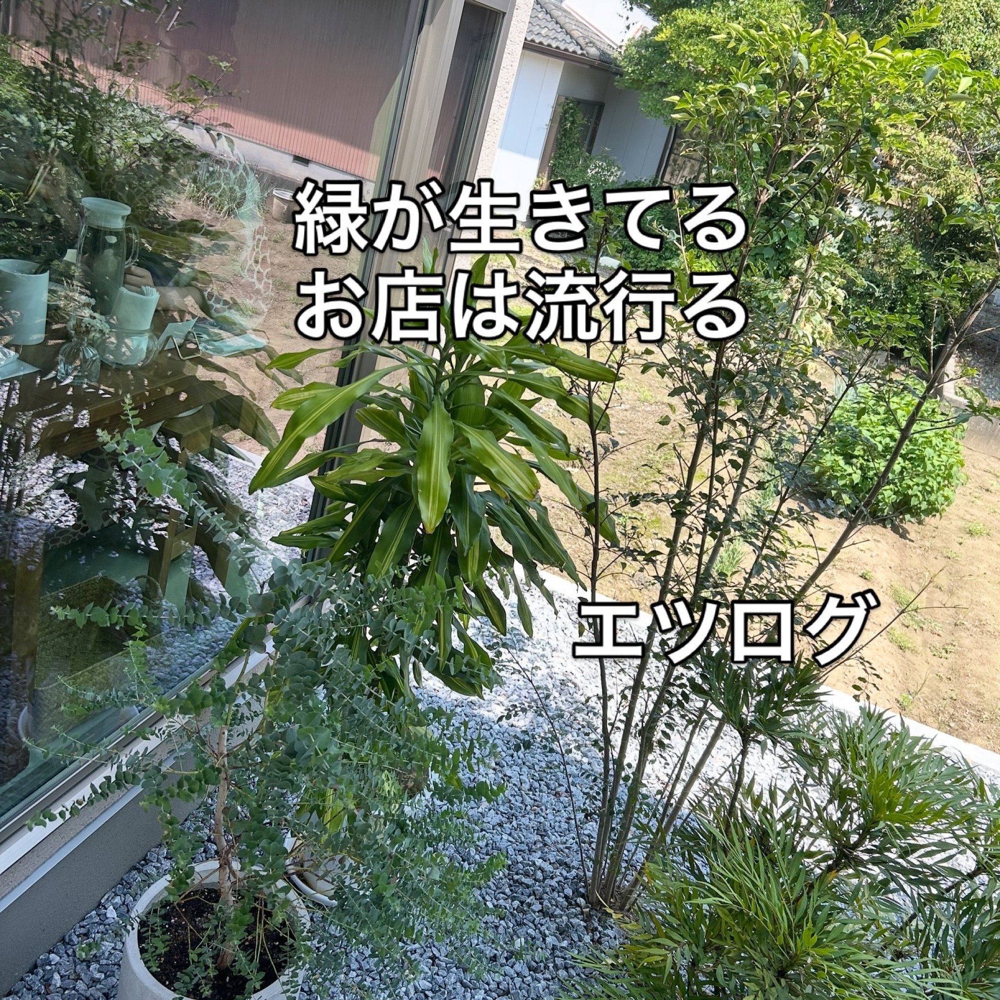 日々のごはん となりのレポート写真4（岐阜の食いしん坊担当）
