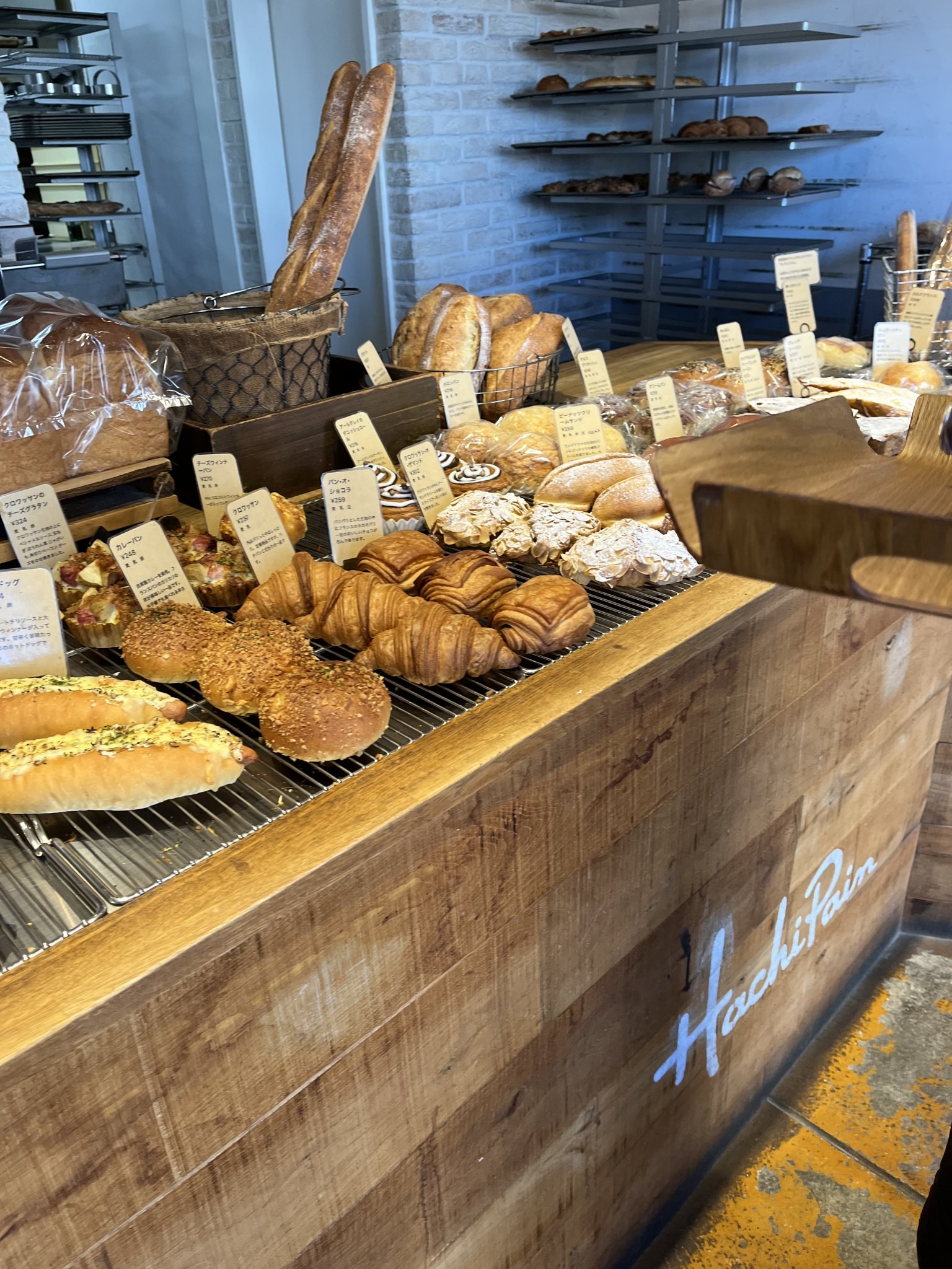 Hachi Painのレポート写真1（えころん）