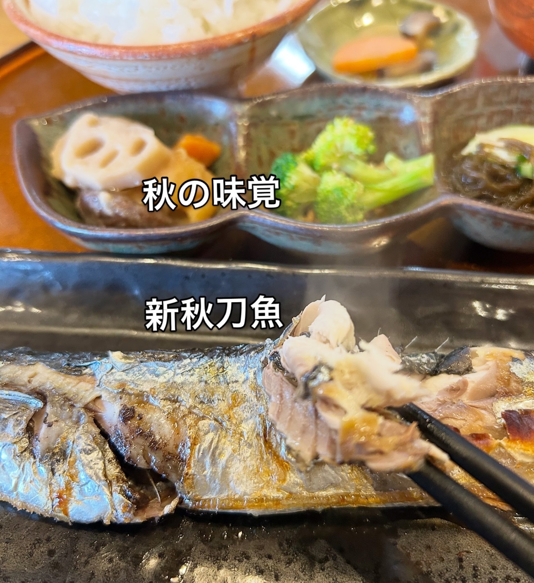 小梅本店のレポート写真3（岐阜の食いしん坊担当）