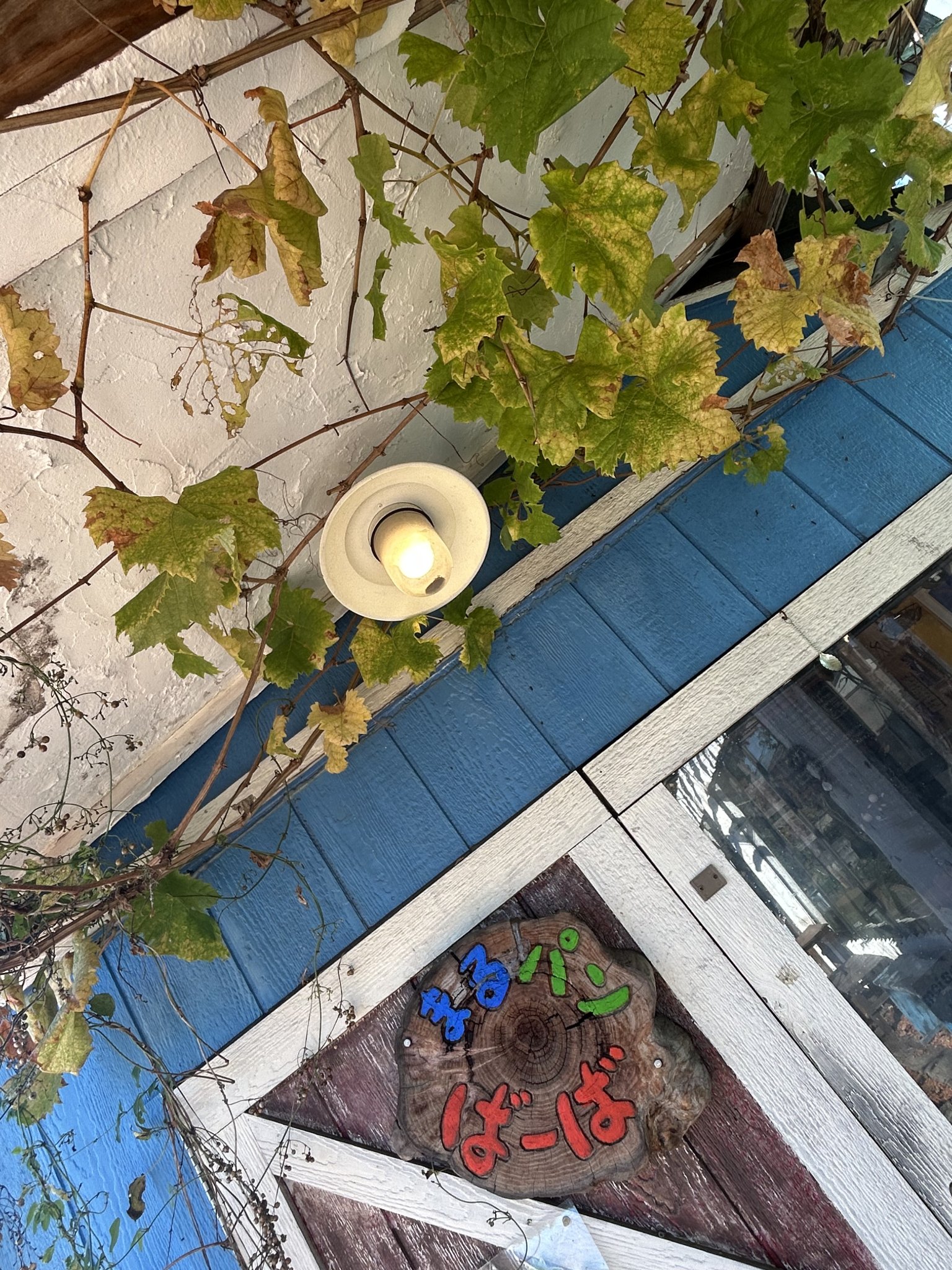 まるパン ばーばのレポート写真4（岐阜の食いしん坊担当）