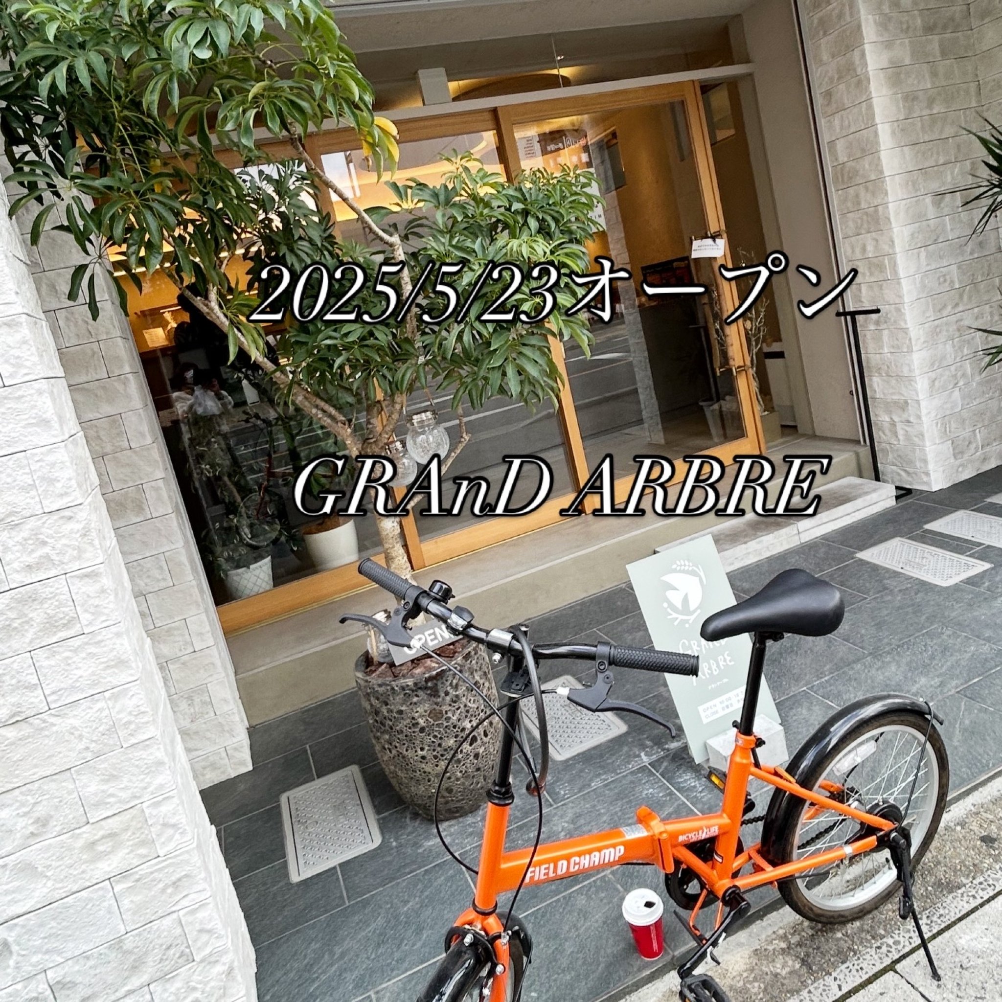 GRAnD ARBREのレポート写真2（岐阜の食いしん坊担当）