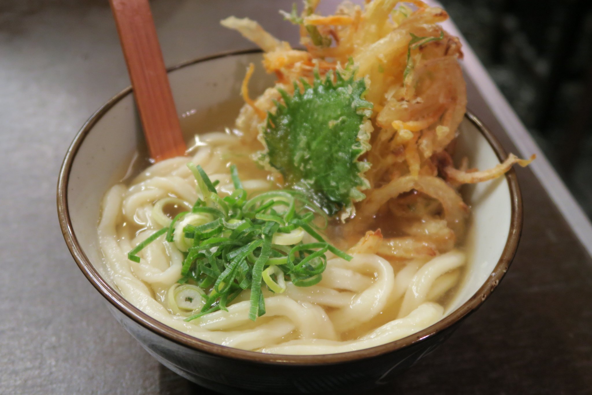手打ちうどん ごだいさんのレポート写真1（みずほのトヤマ）