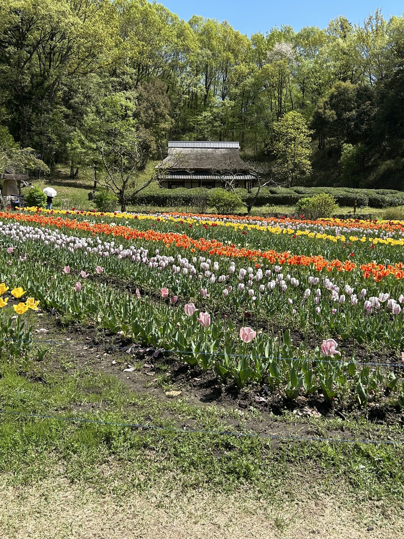 ぎふ清流里山公園のレポート写真2（まーちゃん）
