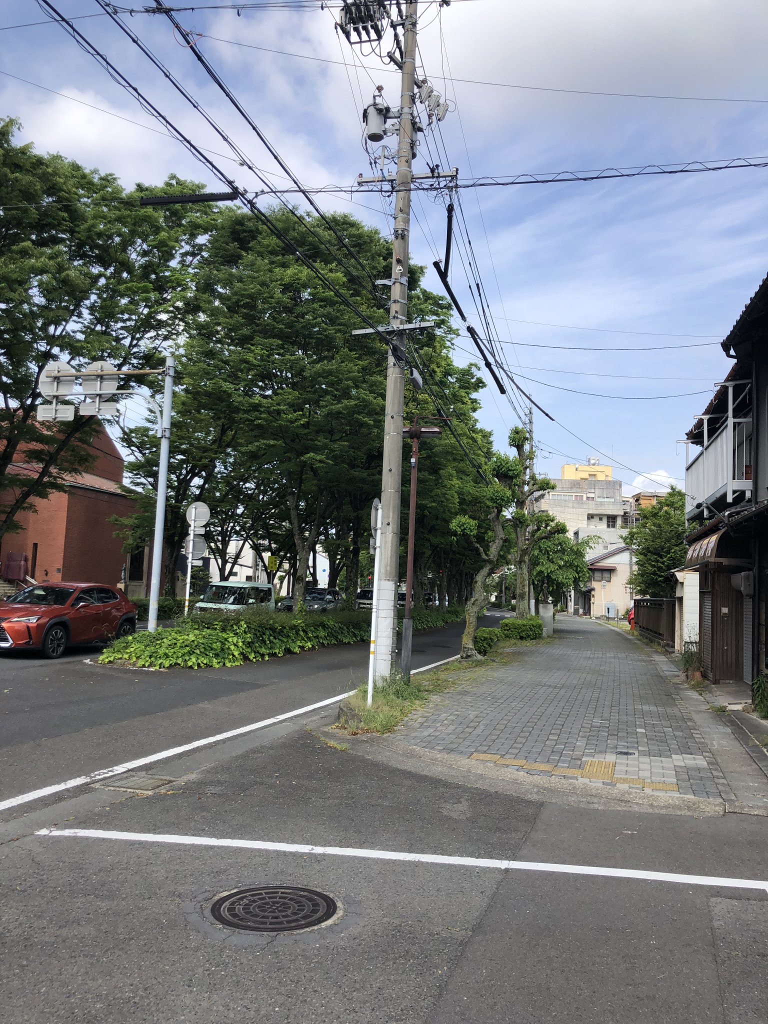 本郷町けやき並木のレポート写真1（林雄介(作家、元官僚、林和志)）