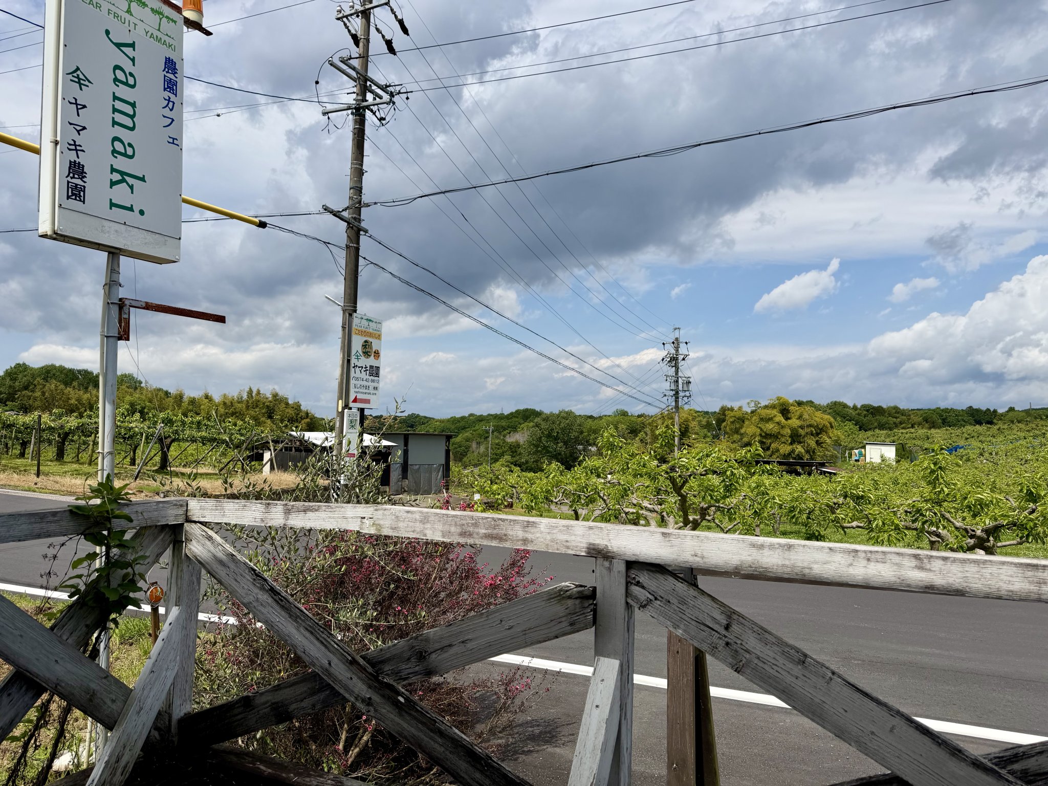 農園カフェyamakiのレポート写真2（やすべぇ）