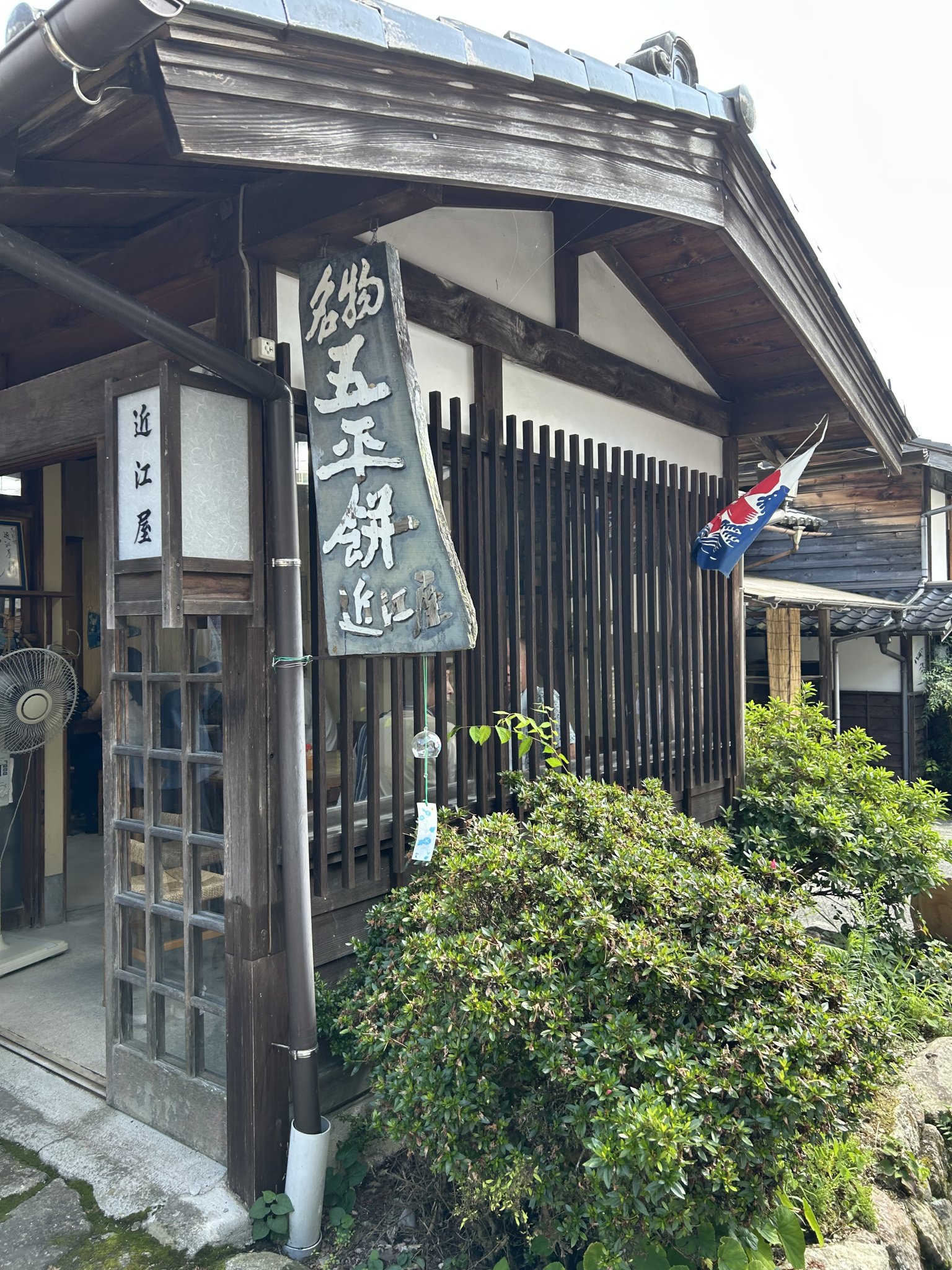 近江屋のレポート写真2（まーちゃん）