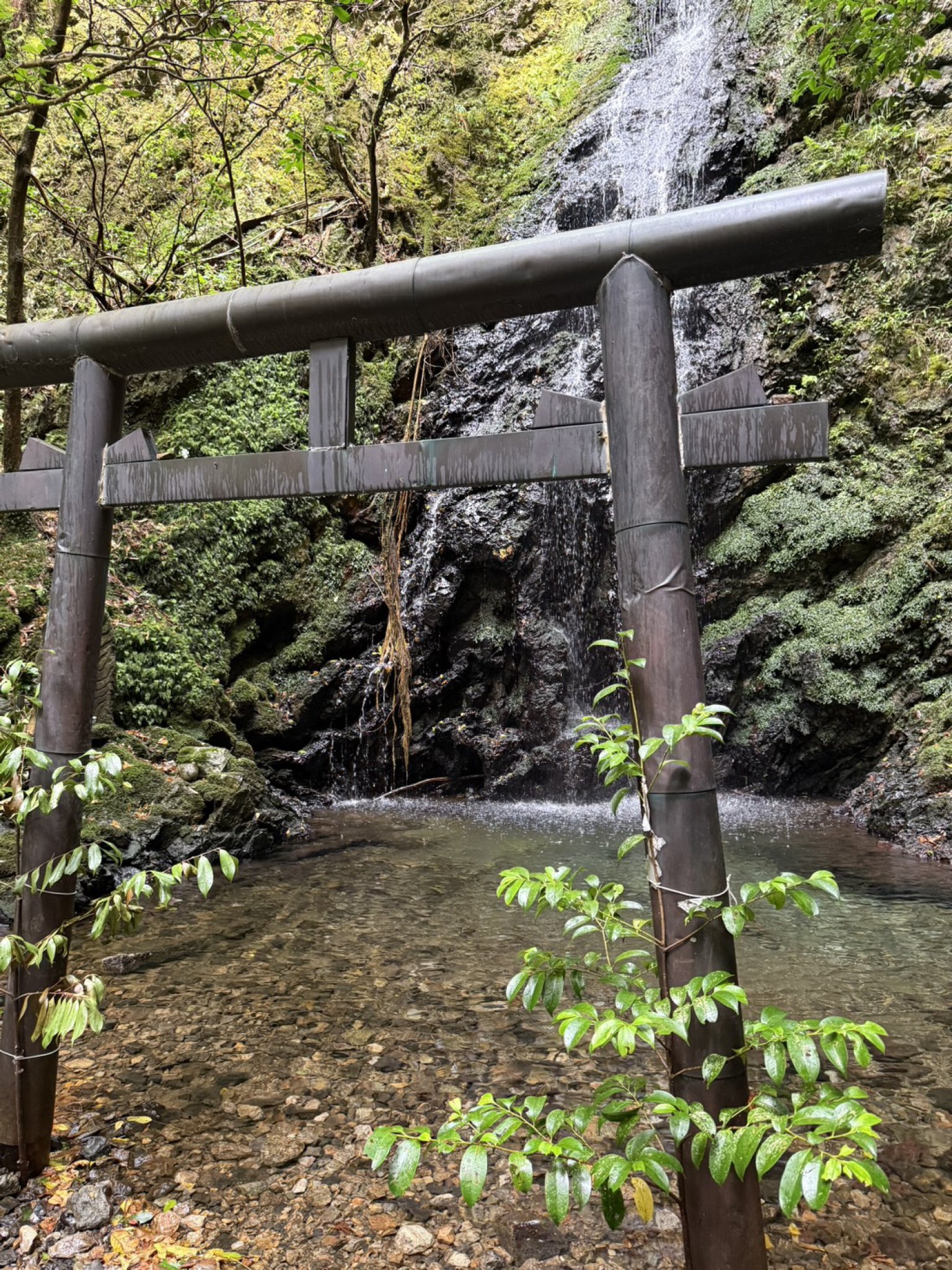 岩門の滝のレポート写真2（マナブ）