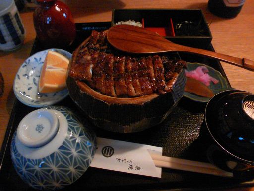 加茂うのレポート写真1（タチコマ）