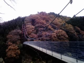 多良峡森林公園のレポート写真1（ゆかそ）