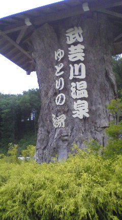 武芸川温泉のレポート写真1（アヤパン）