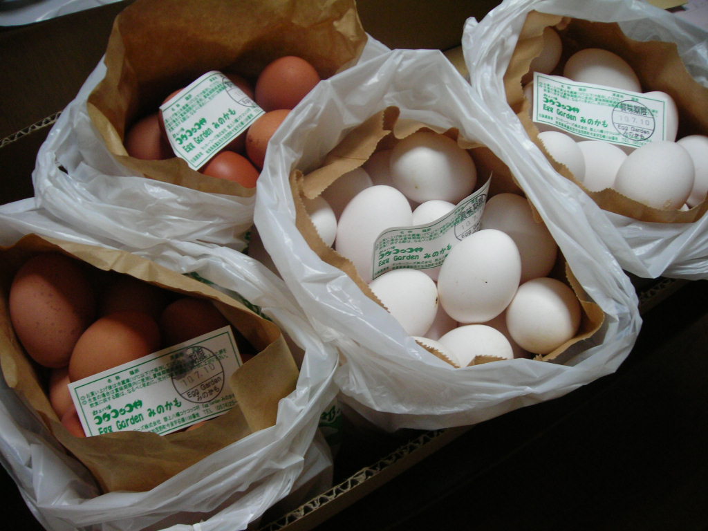 EggGardenみのかものレポート写真1（Ｈａｎａ）