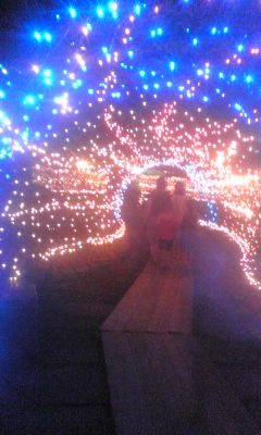岐阜公園のレポート写真1（☆めっち☆）