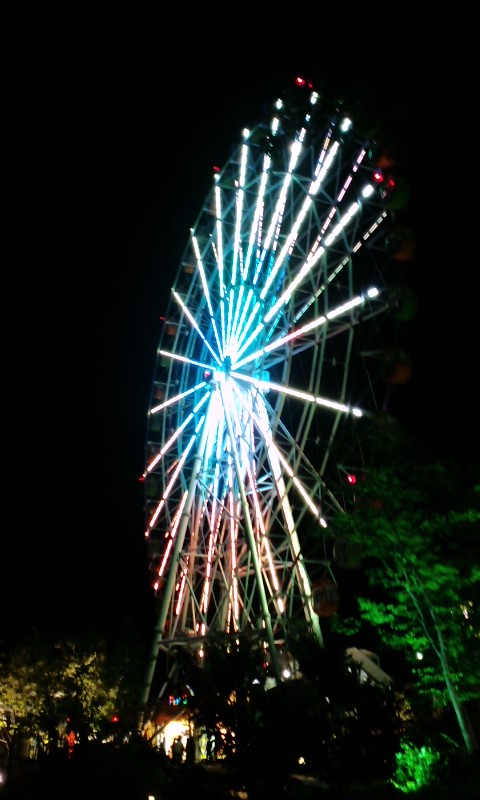 大観覧車 オアシスホイールのレポート写真1（☆めっち☆）