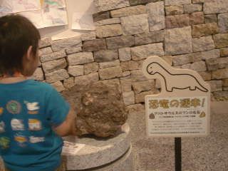 ストーンミュージアム 博石館のレポート写真1（ゆふ）