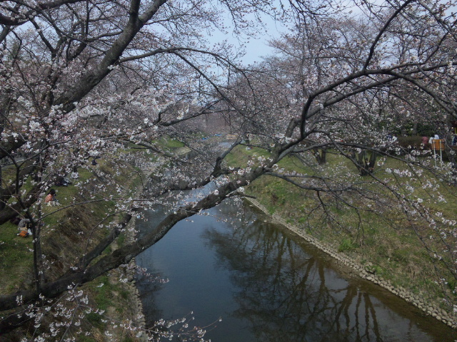 各務原市民公園のレポート写真1（レッツなシニア）