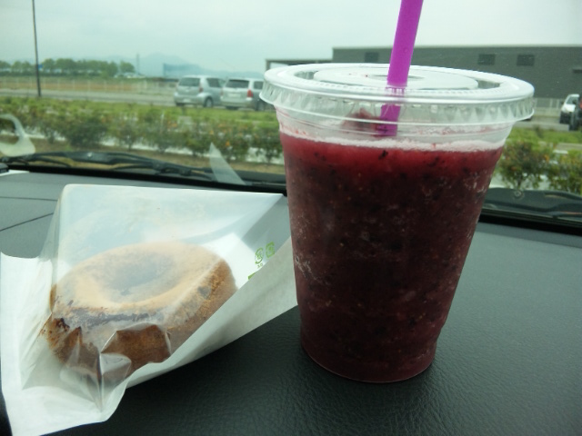 Blueberry garden　紫屋のレポート写真1（春の苺）