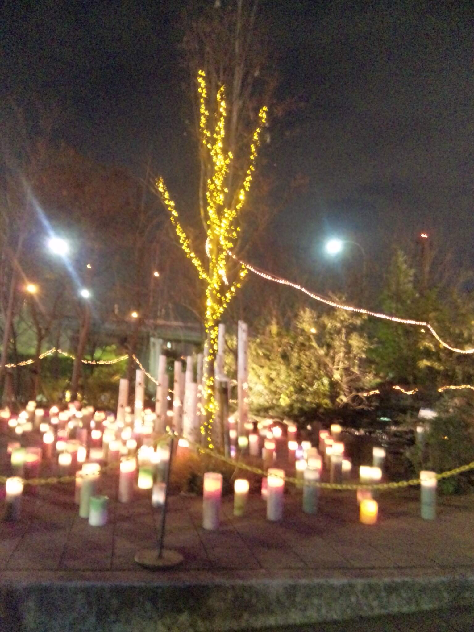 河川環境楽園 オアシスパークのレポート写真1（biwabiwa）