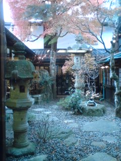 咲くやこの花のレポート写真1（sayo）