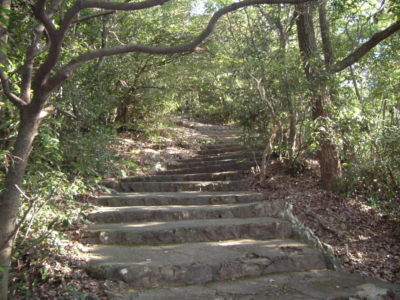 七曲登山道(大手道)のレポート写真1（チャラヒ）