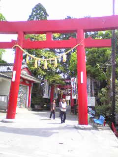 千代保稲荷神社(お千代保稲荷)のレポート写真1（マロン）