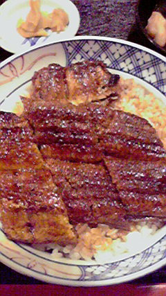 料亭 うなぎ 康生のレポート写真1（コースケ号）