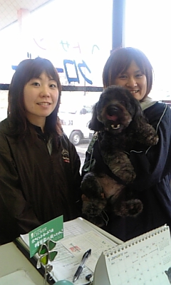 pet salon CLOVERのレポート写真1（コロン）