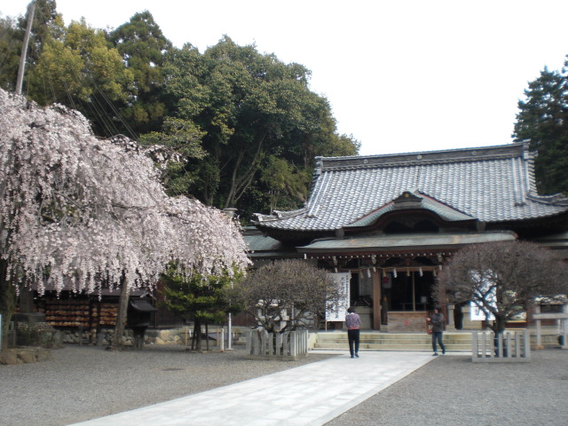 長良天神神社のレポート写真2（レッツなシニア）