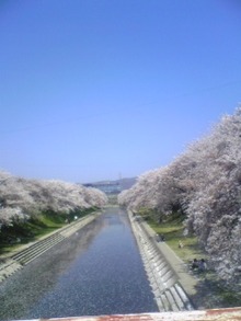 各務原市民公園のレポート写真2（ミッフィー）