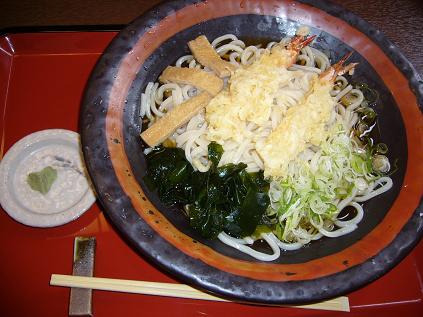 煮込うどん 加とうのレポート写真2（ゆかそ）