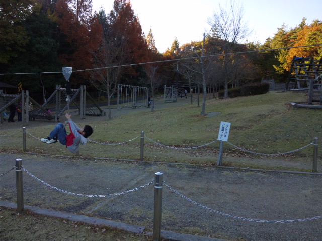 県営各務原公園のレポート写真2（レッツなシニア）